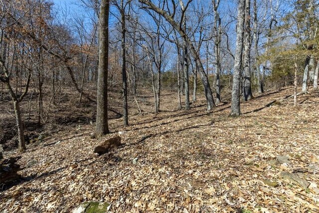 3641 Kessler Mountain Rd, Fayetteville, AR 72701