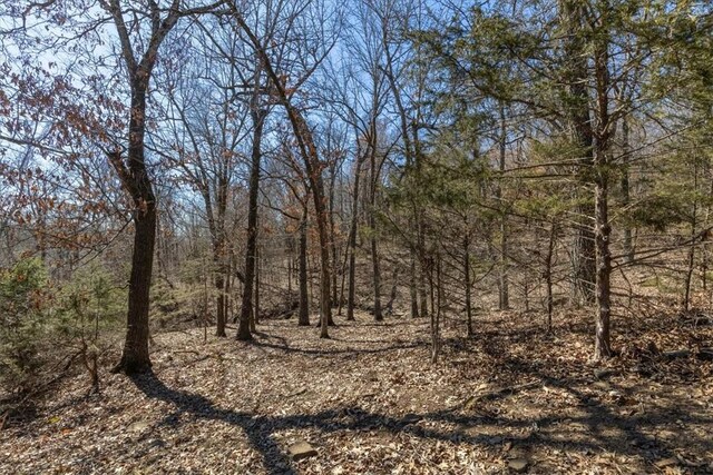3641 Kessler Mountain Rd, Fayetteville, AR 72701