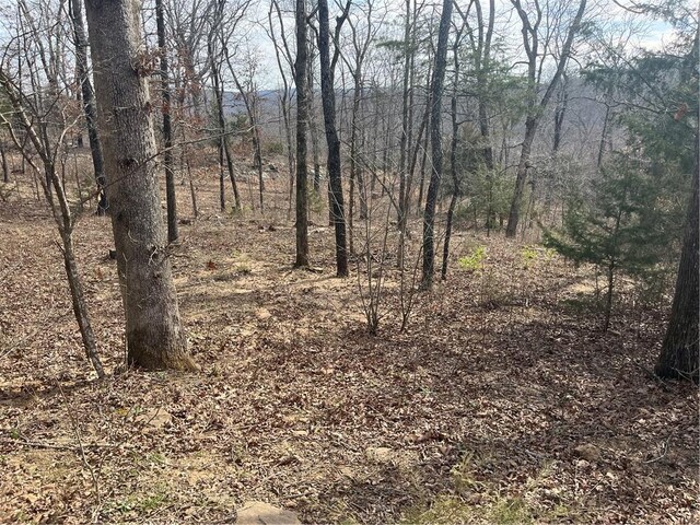 TractBTBD Wooton, West Fork, AR 72774