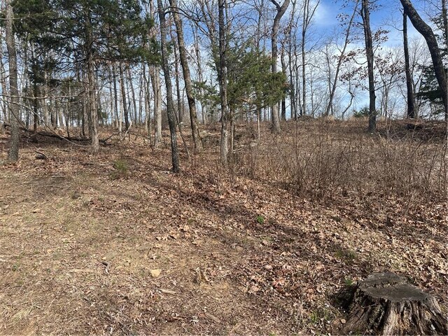 TractBTBD Wooton, West Fork, AR 72774