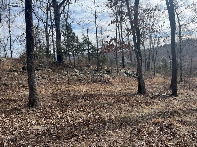 TractBTBD Wooton, West Fork, AR 72774