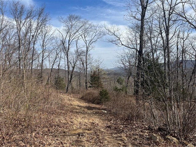 TractBTBD Wooton, West Fork, AR 72774