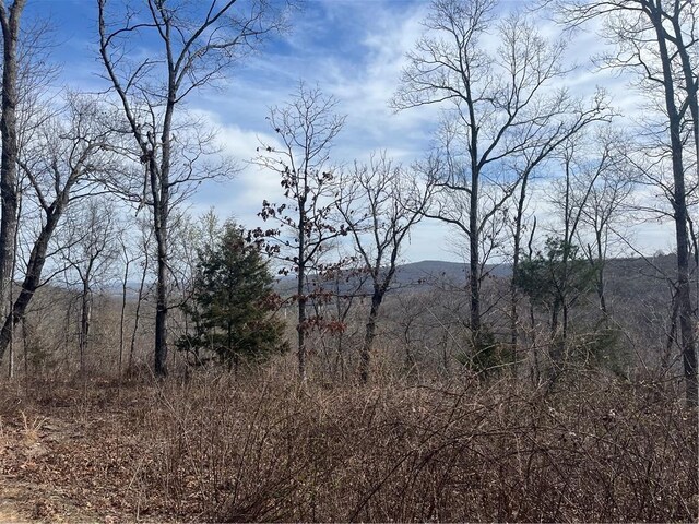 TractBTBD Wooton, West Fork, AR 72774
