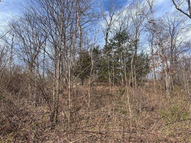 TractBTBD Wooton, West Fork, AR 72774