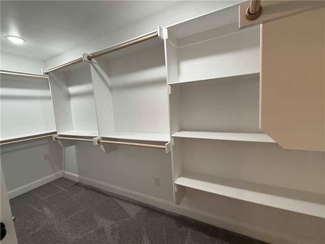 2401 Armstrong Ln, Pea Ridge, AR 72751 - walk in closet with dark colored carpet