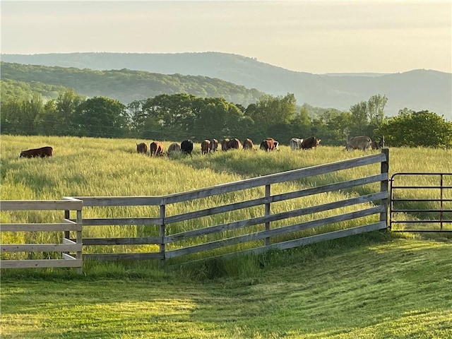 view of gate featuring a mountain view, fence, and a rural view