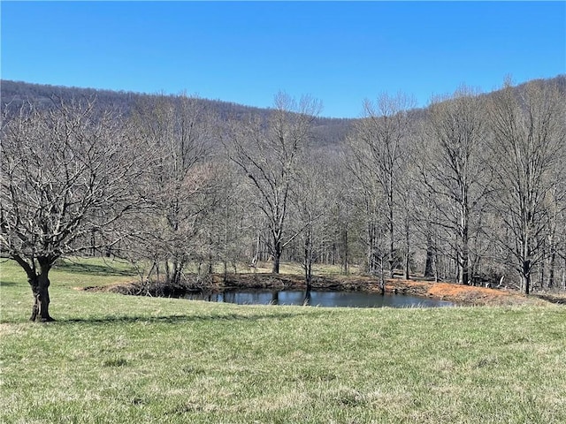 view of yard featuring a view of trees and a water view