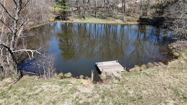 dock area with a water view and a view of trees