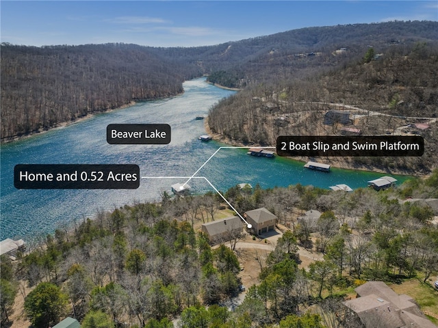 21621 Vista Shores Dr, Garfield, AR 72732 - bird's eye view featuring a view of trees and a water view