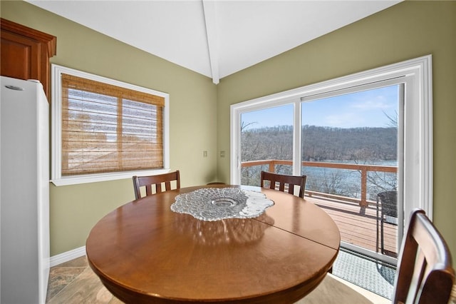21621 Vista Shores Dr, Garfield, AR 72732 - dining space with vaulted ceiling and baseboards