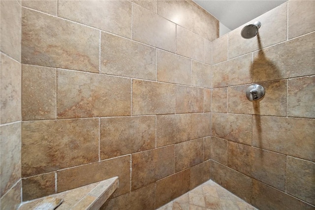 21621 Vista Shores Dr, Garfield, AR 72732 - room details with a tile shower