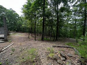 149 Driftwood Trl, Heber Springs, AR 72067