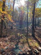 149 Driftwood Trl, Heber Springs, AR 72067