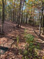 149 Driftwood Trl, Heber Springs, AR 72067