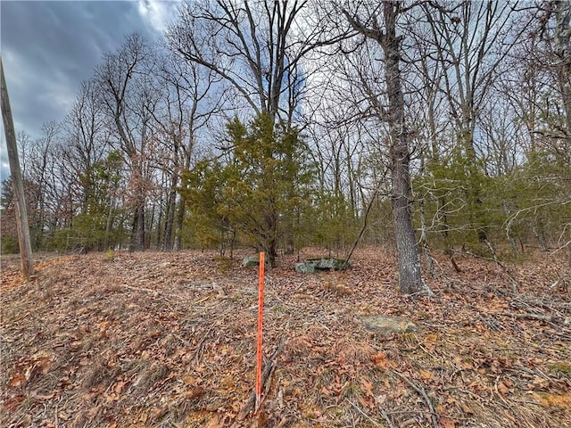 0 Bells Chapel Rd, Atkins, AR 72823