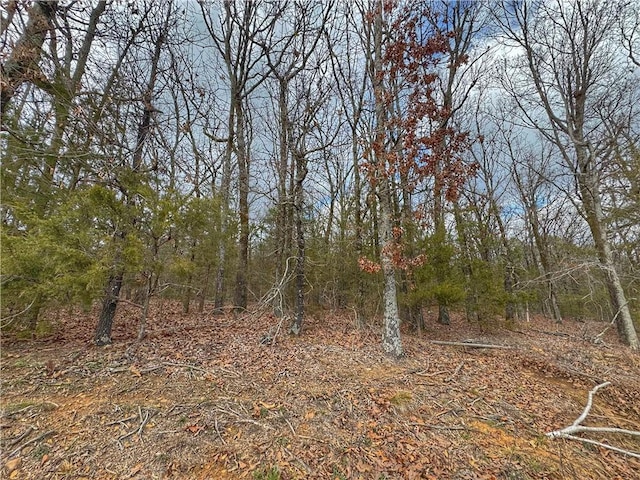 0 Bells Chapel Rd, Atkins, AR 72823