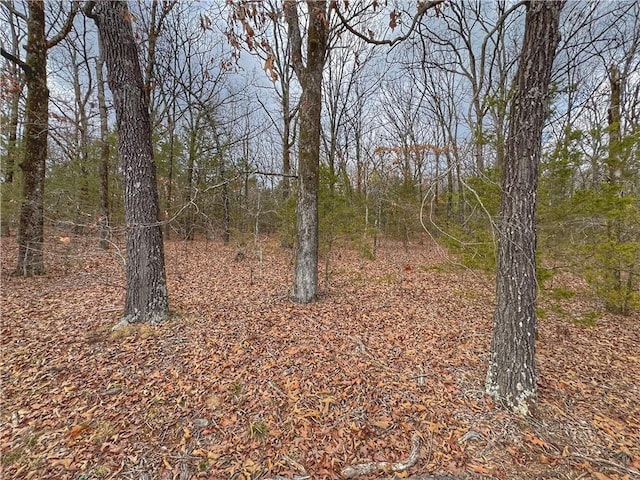 0 Bells Chapel Rd, Atkins, AR 72823