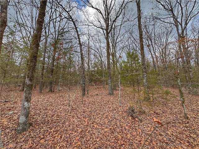 0 Bells Chapel Rd, Atkins, AR 72823