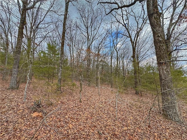0 Bells Chapel Rd, Atkins, AR 72823