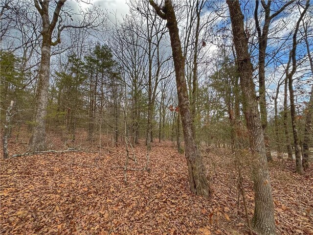 0 Bells Chapel Rd, Atkins, AR 72823