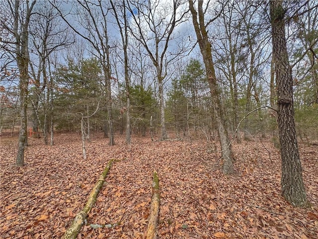 0 Bells Chapel Rd, Atkins, AR 72823