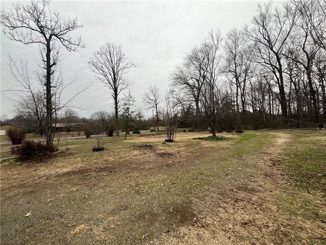 10310 Honeysuckle Rd, Belleville, AR 72824 - photo 28