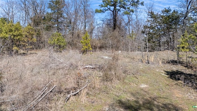 Sims Hollow Rd, London, AR 72847 - photo 1