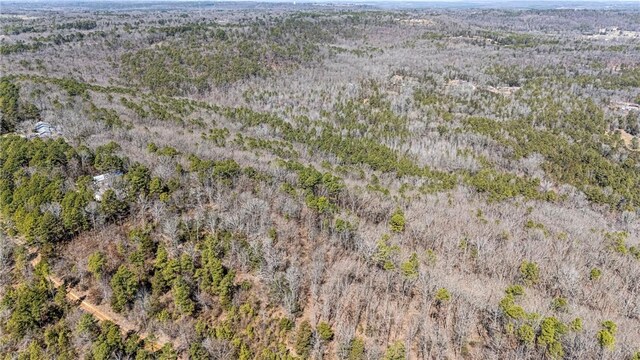 Sims Hollow Rd, London, AR 72847 - photo 2