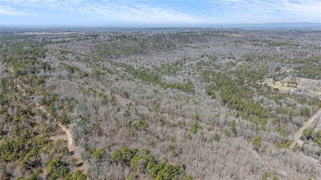 Sims Hollow Rd, London, AR 72847 - photo 3