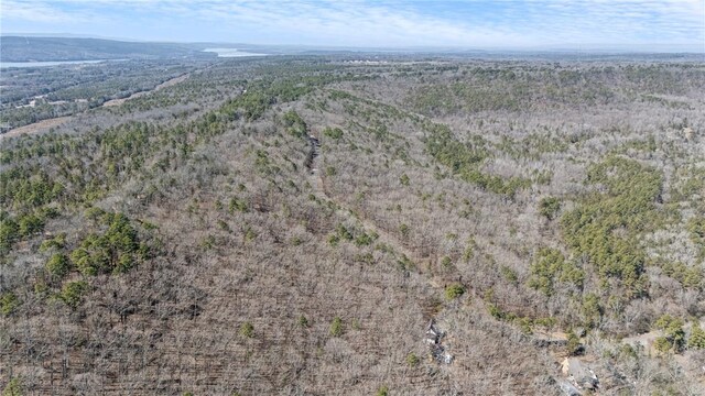 Sims Hollow Rd, London, AR 72847 - photo 4