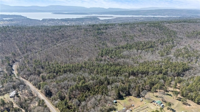 Sims Hollow Rd, London, AR 72847 - photo 6