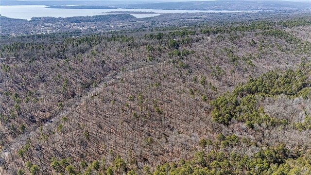 Sims Hollow Rd, London, AR 72847 - photo 7