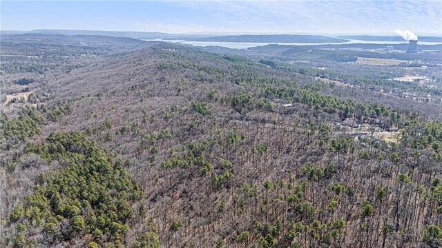 Sims Hollow Rd, London, AR 72847 - photo 8