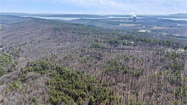 Sims Hollow Rd, London, AR 72847 - photo 9