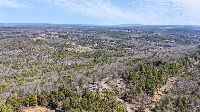 Sims Hollow Rd, London, AR 72847 - photo 10