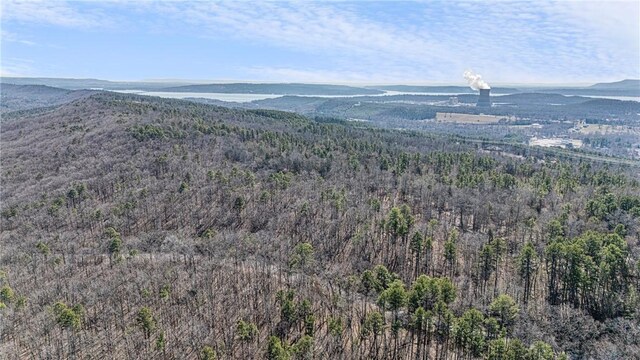 Sims Hollow Rd, London, AR 72847 - photo 12