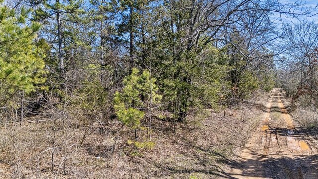 Sims Hollow Rd, London, AR 72847 - photo 13