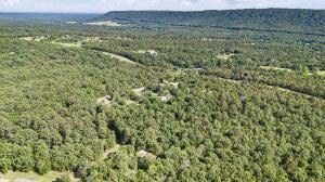 14.53AC/ Lower Pine Hill Rd, Russellville, AR 72802 - photo 8