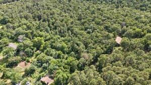 14.53AC/ Lower Pine Hill Rd, Russellville, AR 72802 - photo 11