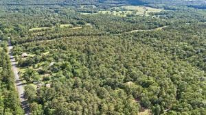 14.53AC/ Lower Pine Hill Rd, Russellville, AR 72802 - photo 10