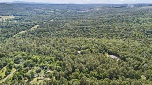 14.53AC/ Lower Pine Hill Rd, Russellville, AR 72802 - photo 3