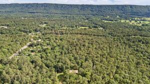14.53AC/ Lower Pine Hill Rd, Russellville, AR 72802 - photo 9