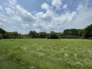N Maple St, Dover, AR 72837