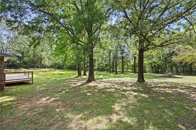75 Vernon Dr, Dover, AR 72837 - photo 6