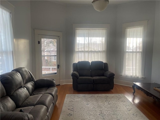 803 W Main St, Clarksville, AR 72830 - living room with wood finished floors and plenty of natural light