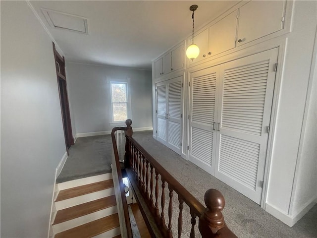 803 W Main St, Clarksville, AR 72830 - stairway with carpet flooring and baseboards