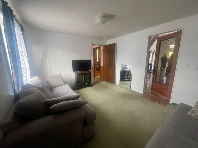 803 W Main St, Clarksville, AR 72830 - carpeted living room with plenty of natural light