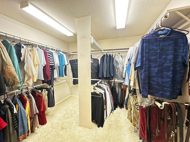 5121 E State Highway 22, Paris, AR 72855 - spacious closet with carpet