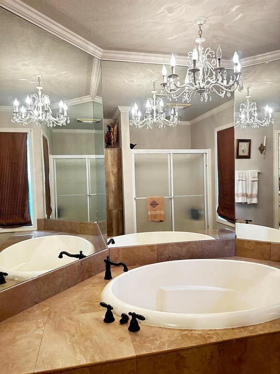 5121 E State Highway 22, Paris, AR 72855 - bathroom featuring a chandelier, crown molding, a garden tub, and a stall shower