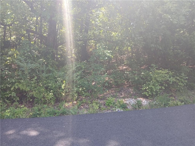 TBD Highland Blvd, Briarcliff, AR 72653
